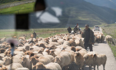 Guba & Shahdag Full-Day Tour