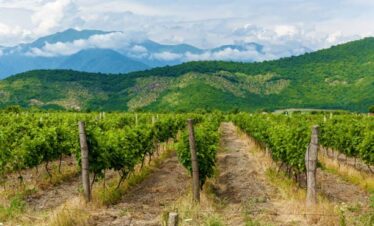 Tour to Ananuri, Gudauri & Kazbegi