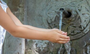 Borjomi Tour From Georgia Tbilisi